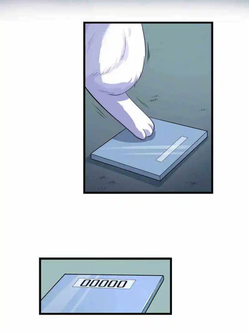 I Might Be A Fake Cultivator Chapter 236