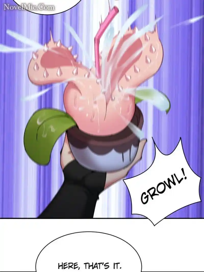 I Picked up an Attribute Chapter 260