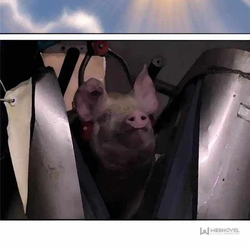 I Picked up an Attribute Chapter 341