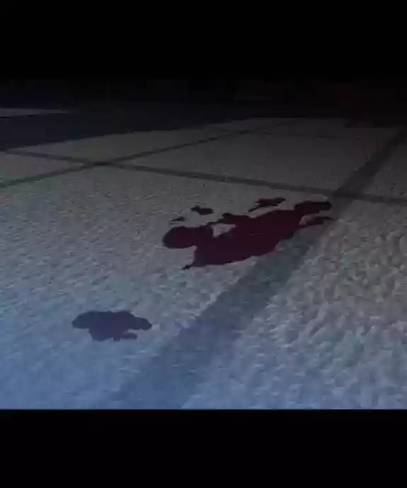 I Want to Be You, Just For A Day Ch.077