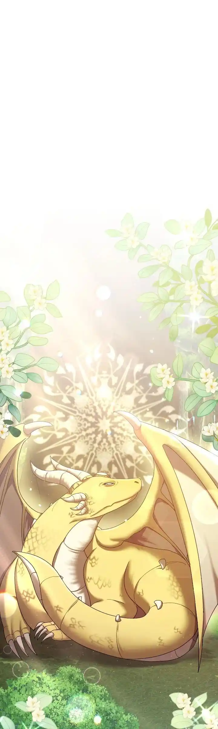 I Was Just an Ordinary Lady Ch.220