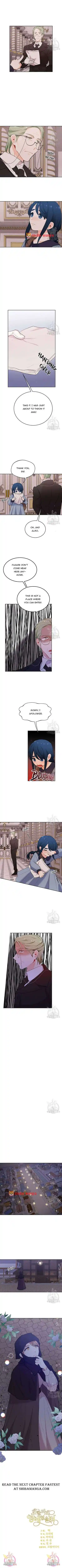 I Was Just An Ordinary Lady Chapter 181