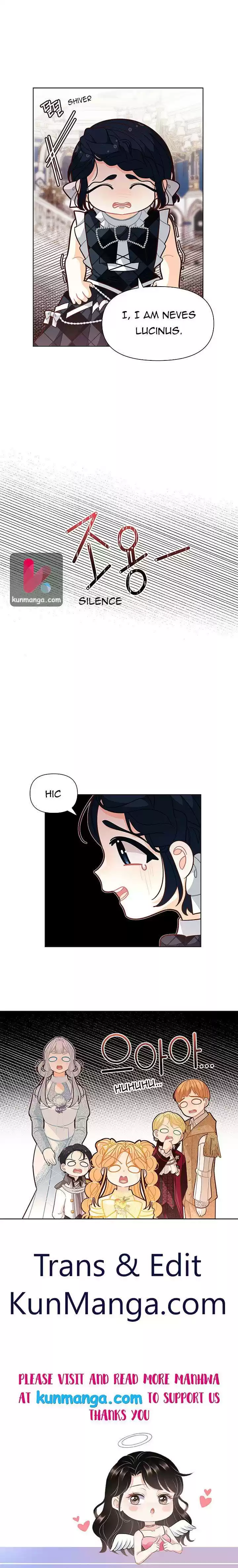 I Was Just An Ordinary Lady Chapter 45.5