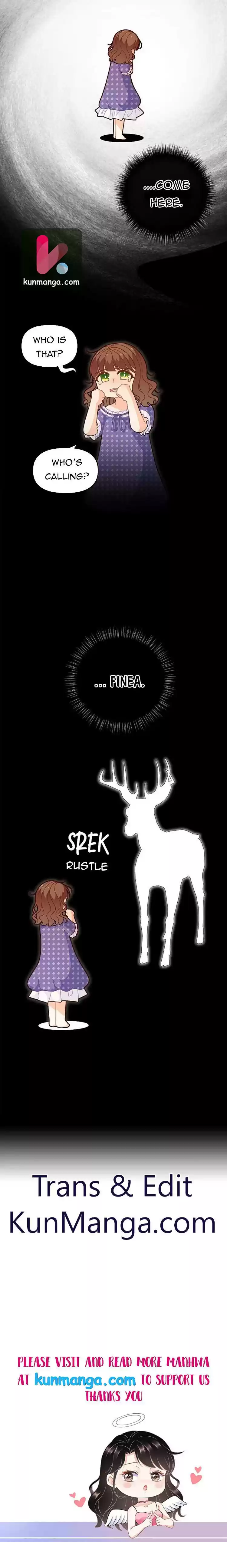 I Was Just An Ordinary Lady Chapter 46.5