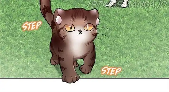 I Was Just An Ordinary Lady Chapter 80