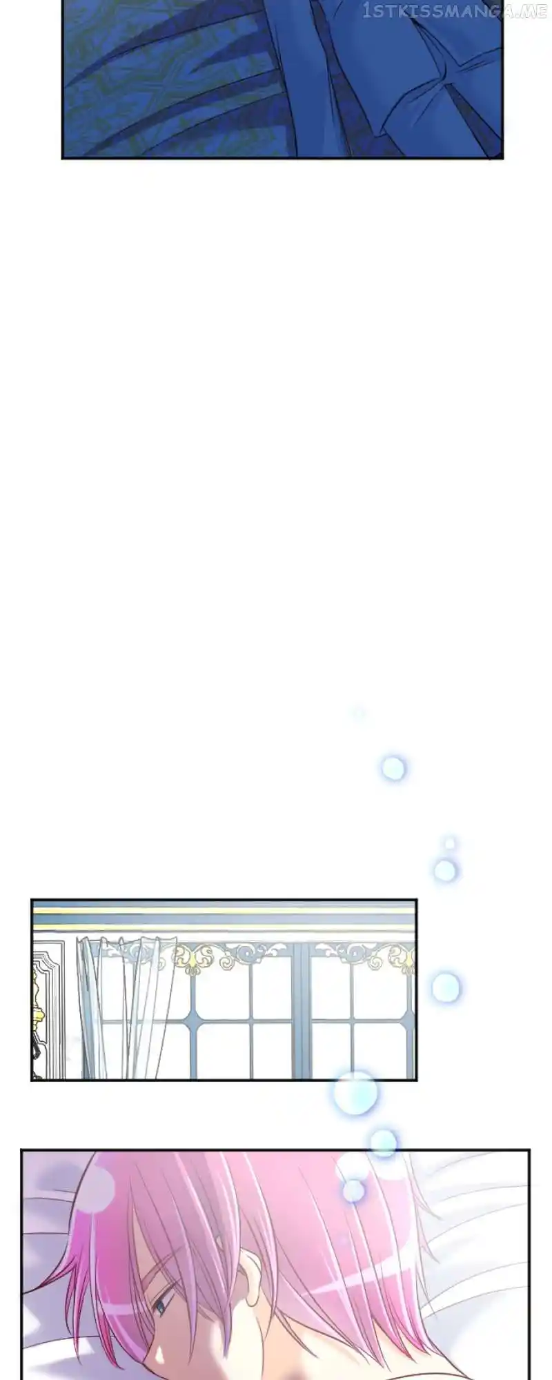 I Was Reborn As A Housekeeper In A Parallel World! Chapter 102