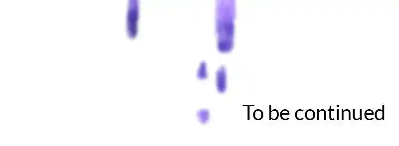 I Was Reborn As A Housekeeper In A Parallel World! Chapter 185