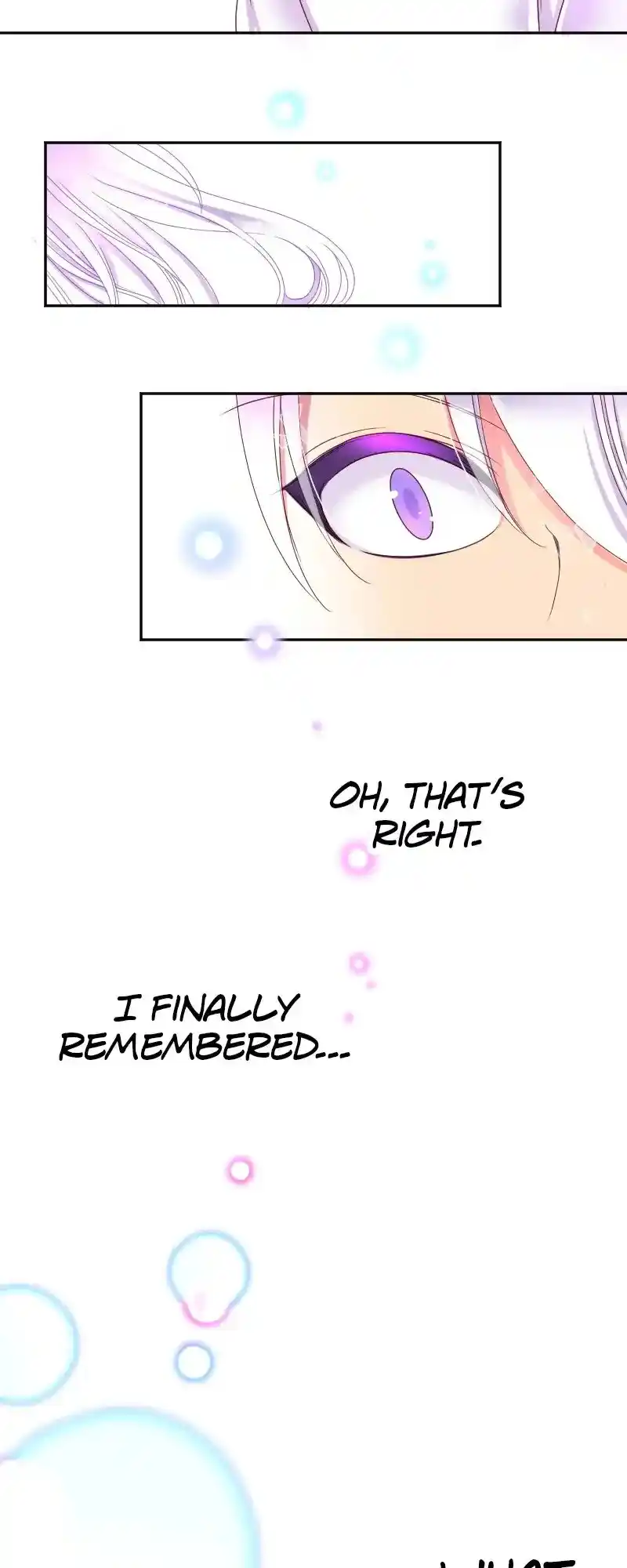 I Was Reborn As A Housekeeper In A Parallel World! Chapter 207