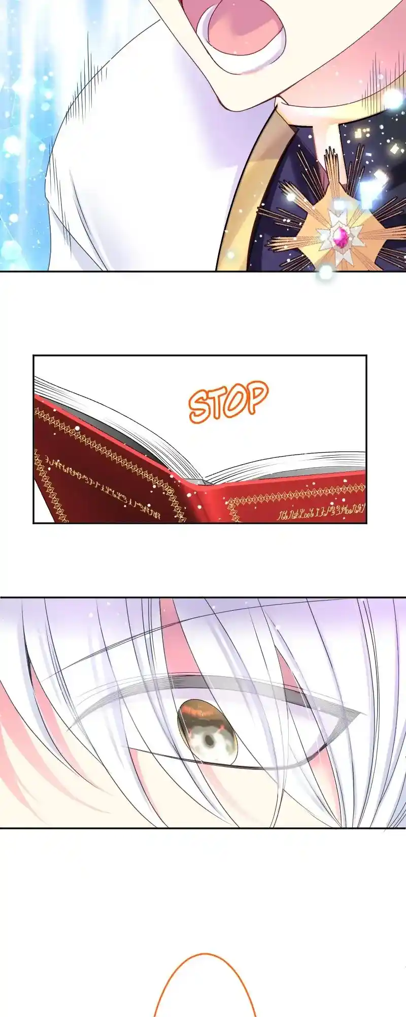 I Was Reborn As A Housekeeper In A Parallel World! Chapter 215