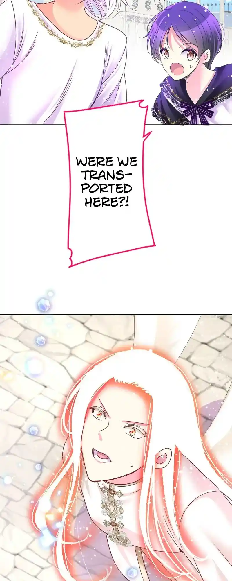 I Was Reborn As A Housekeeper In A Parallel World! Chapter 215