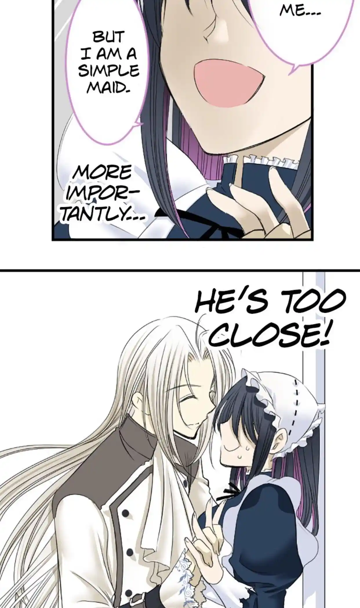 I was Reborn as a Housekeeper in a Parallel World! Chapter 5