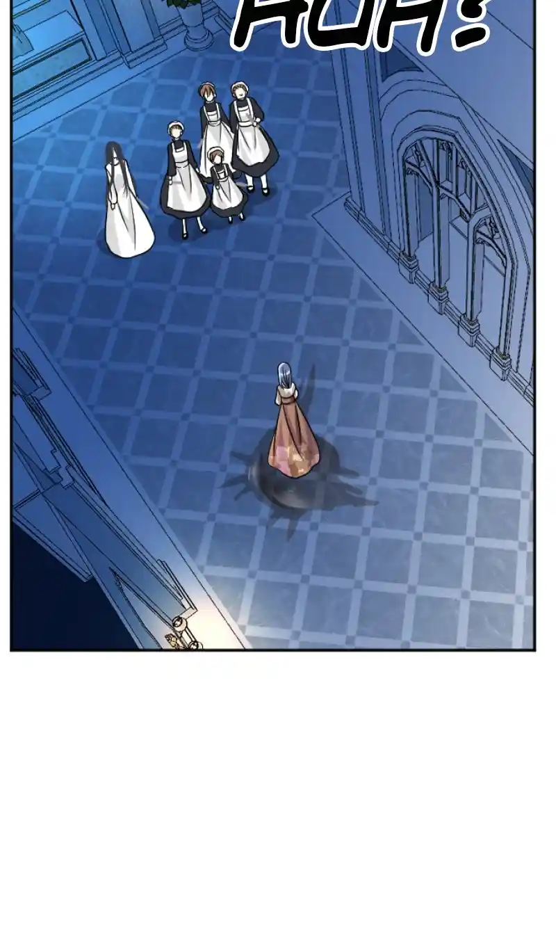 I was Reborn as a Housekeeper in a Parallel World! Chapter 99