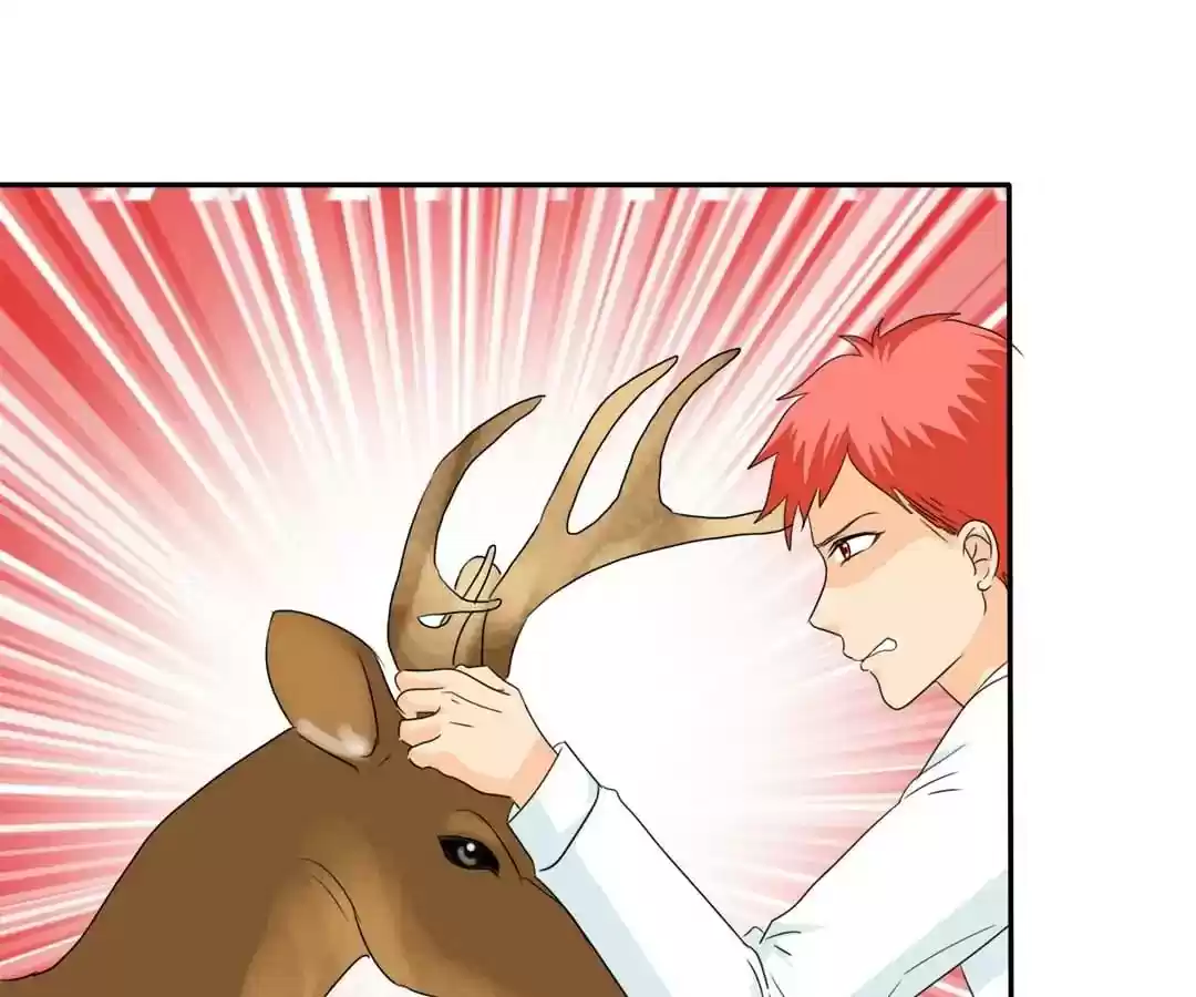 If I Never Loved You Chapter 100