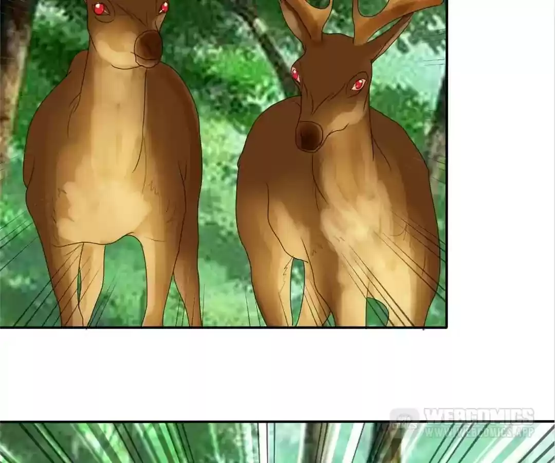 If I Never Loved You Chapter 104