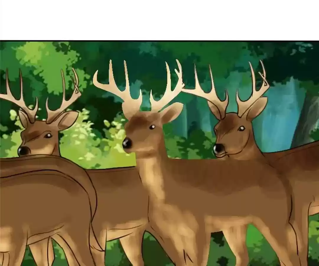 If I Never Loved You Chapter 108