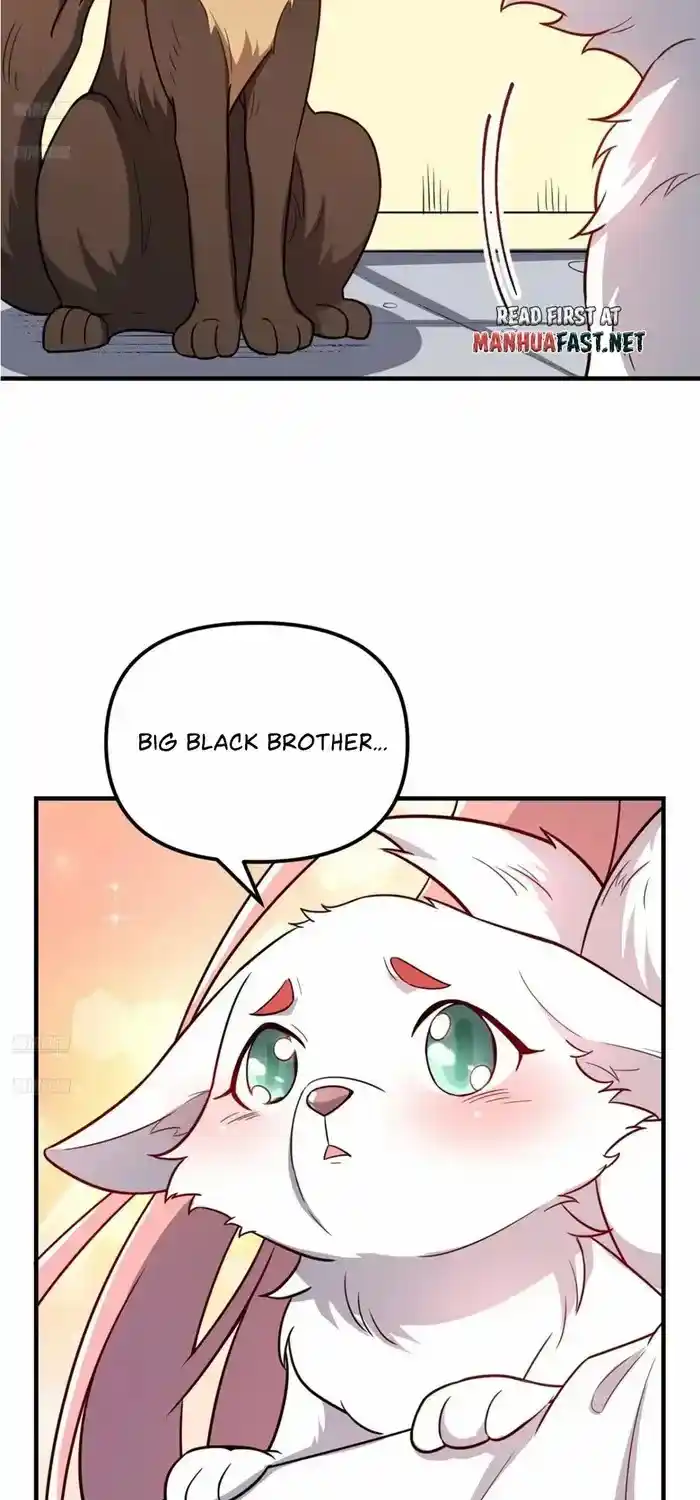 I’m Actually A Cultivation Bigshot Chapter 543