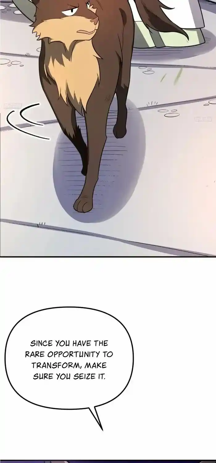 I’m Actually A Cultivation Bigshot Chapter 543