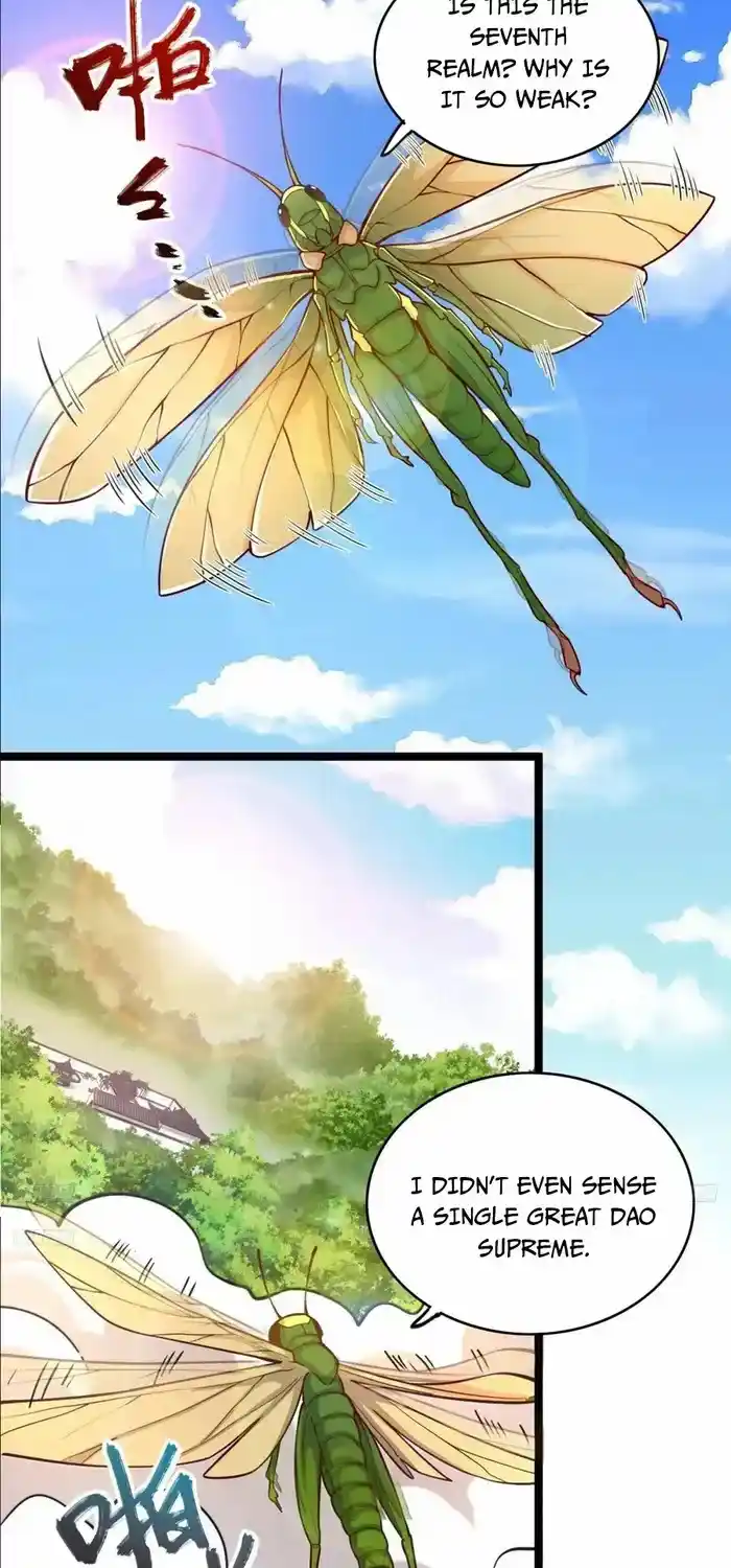 I’m Actually A Cultivation Bigshot Chapter 562