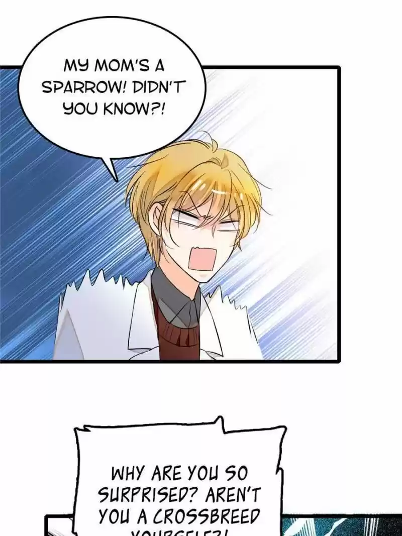 I’M Being Shipped With The King Of Film! Chapter 12