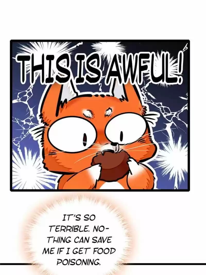 I’M Being Shipped With The King Of Film! Chapter 13