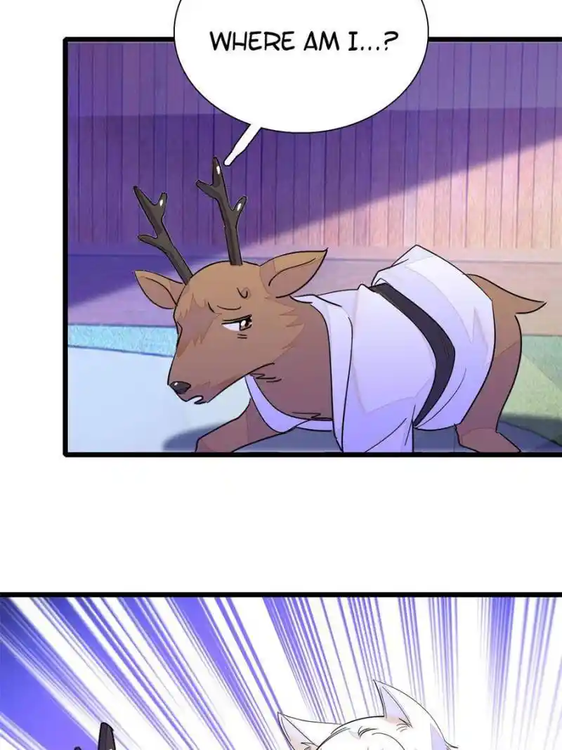 I’M Being Shipped With The King Of Film! Chapter 230