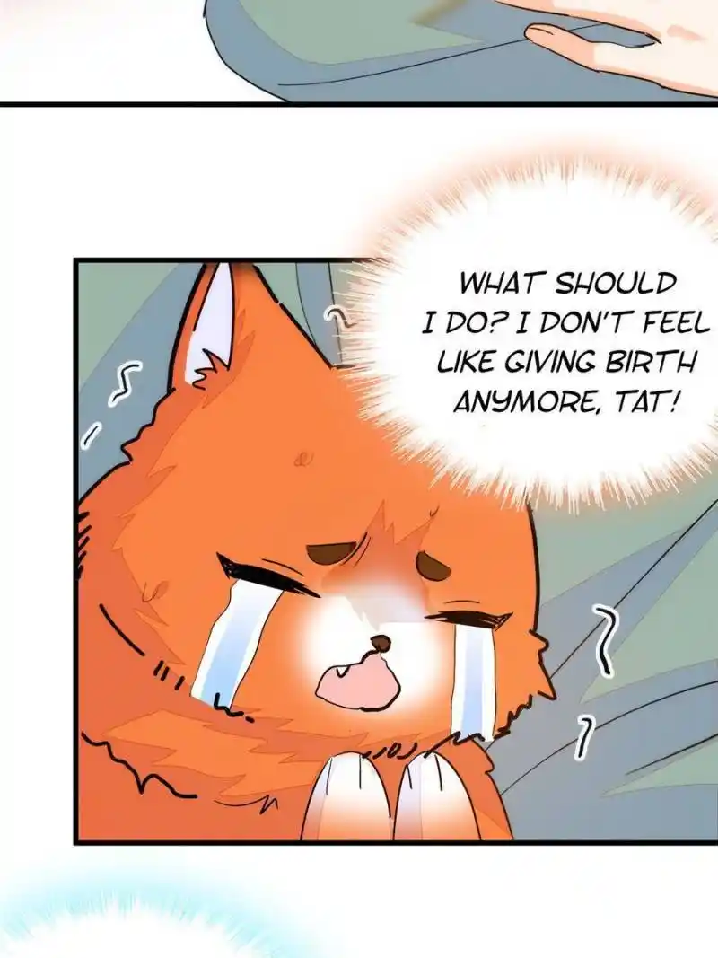 I’M Being Shipped With The King Of Film! Chapter 232