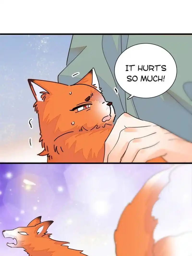 I’M Being Shipped With The King Of Film! Chapter 232