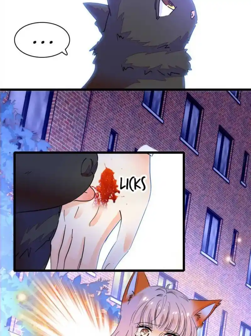 I’M Being Shipped With The King Of Film! Chapter 247