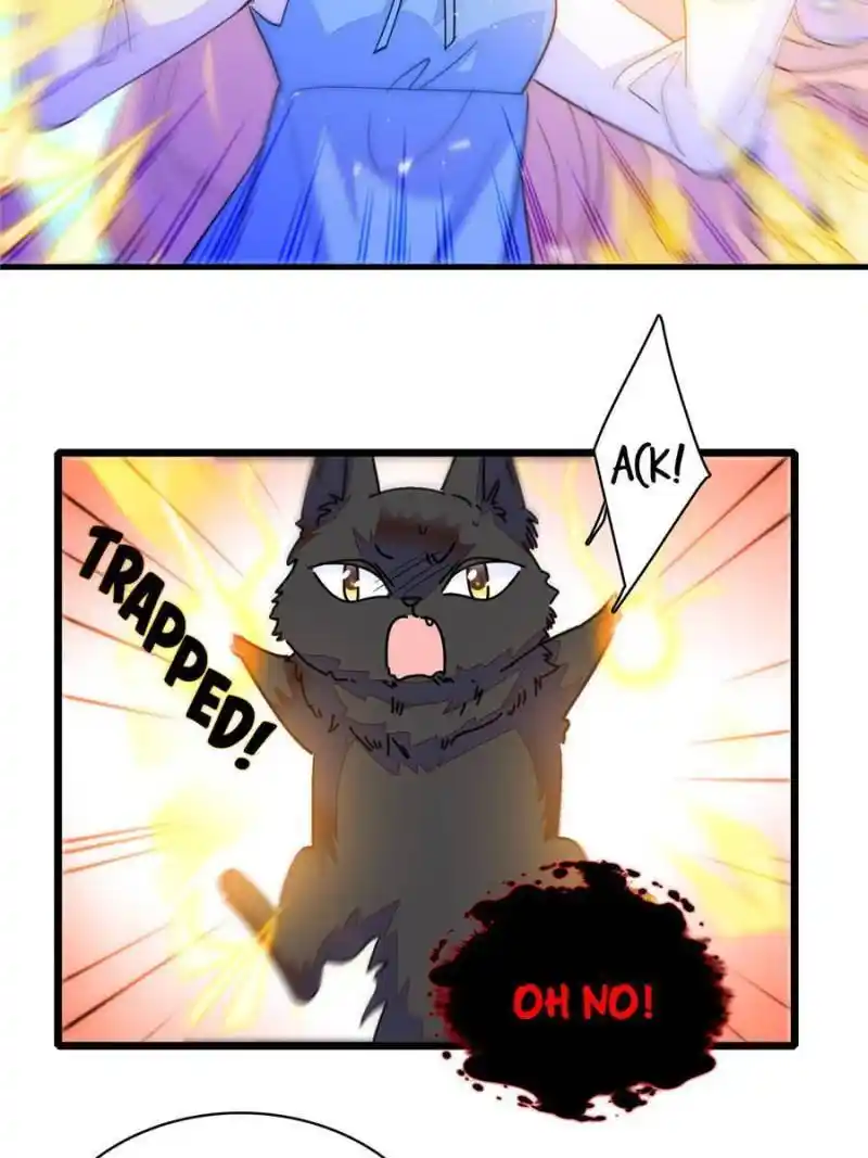 I’M Being Shipped With The King Of Film! Chapter 247