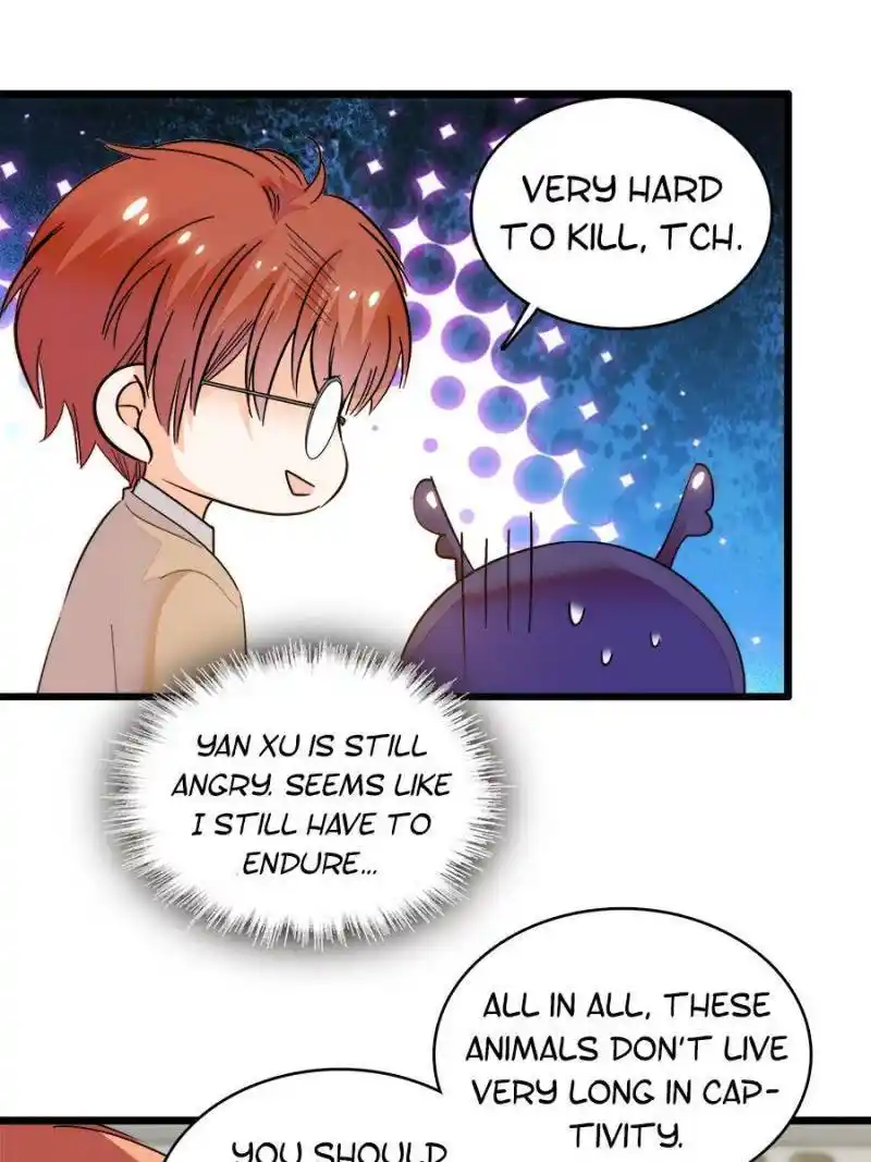 I’M Being Shipped With The King Of Film! Chapter 251