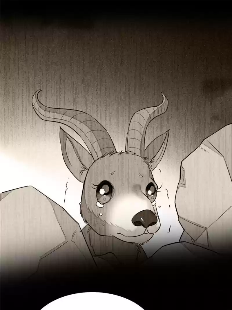 I’M Being Shipped With The King Of Film! Chapter 35