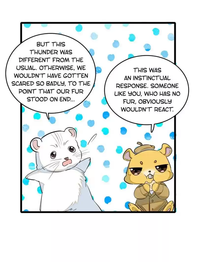 I’M Being Shipped With The King Of Film! Chapter 37