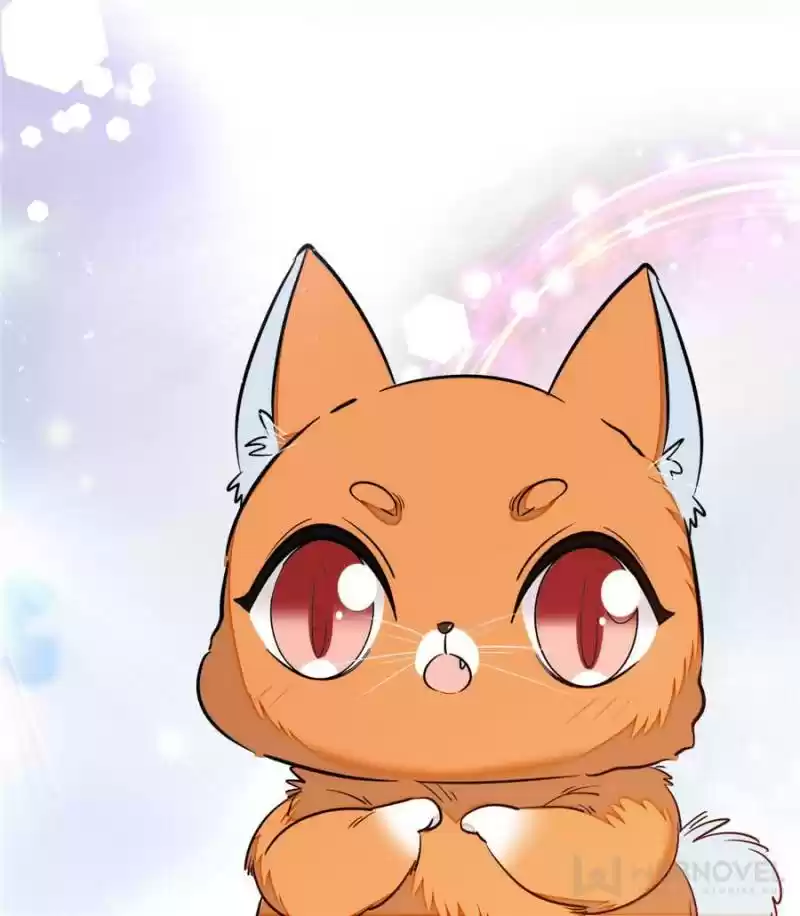 I’M Being Shipped With The King Of Film! Chapter 37