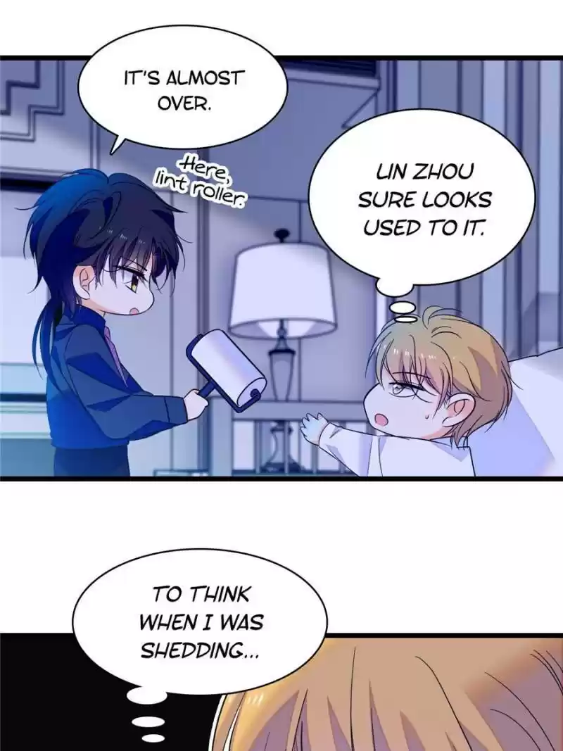 I’M Being Shipped With The King Of Film! Chapter 70