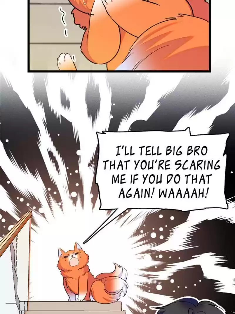 I’M Being Shipped With The King Of Film! Chapter 92