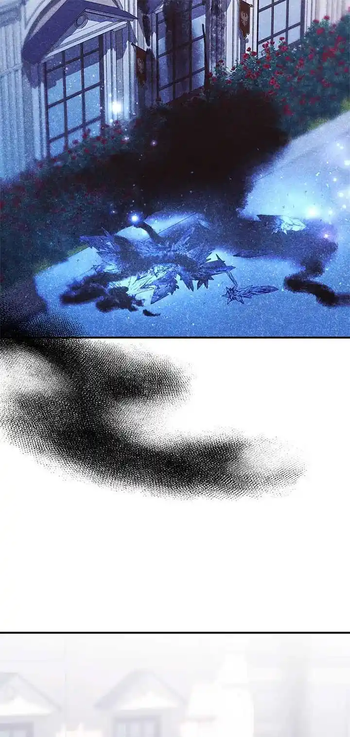 I’m Not A Warrior! Chapter 114