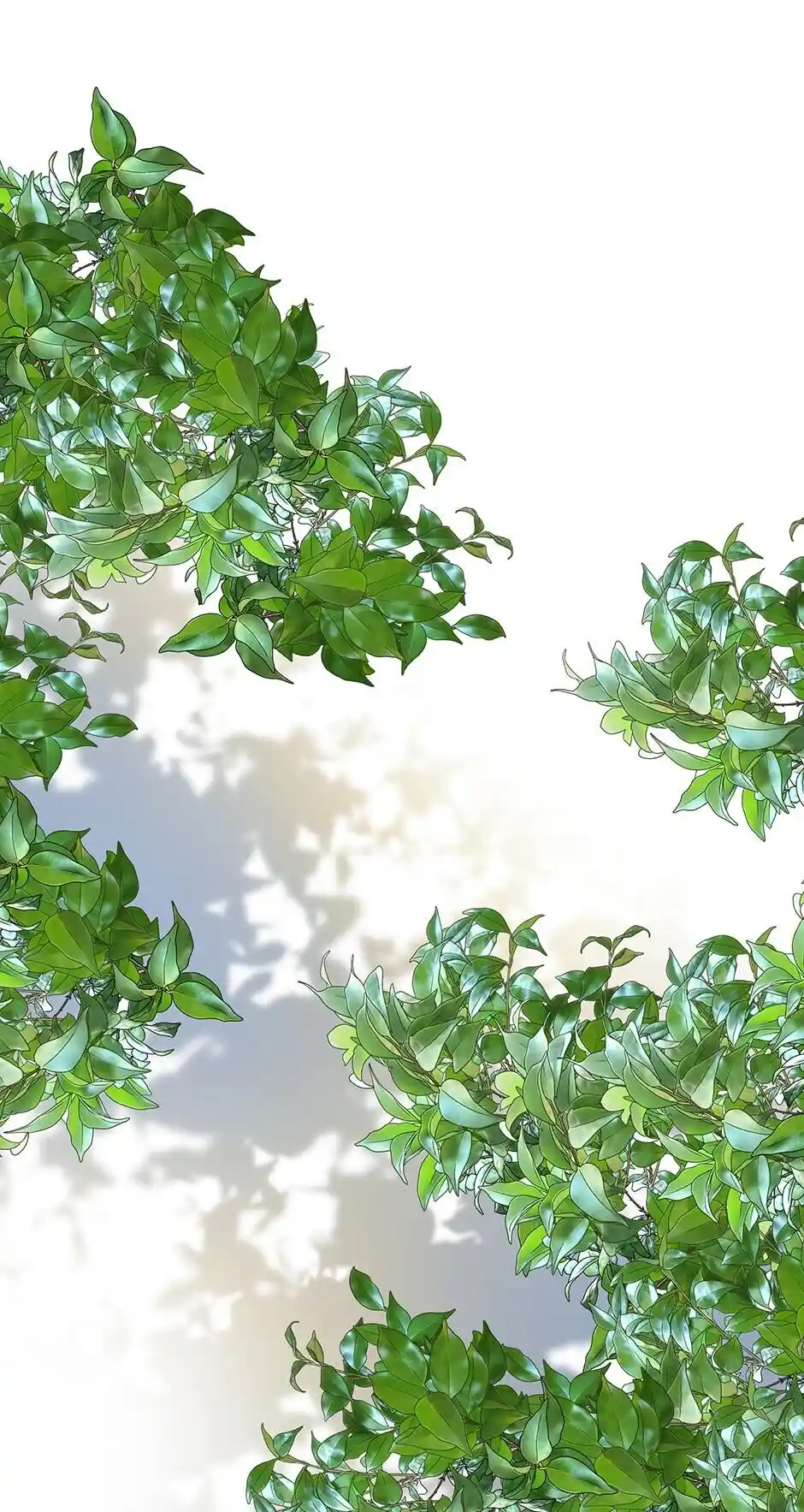 I’m Not A Warrior! Chapter 16