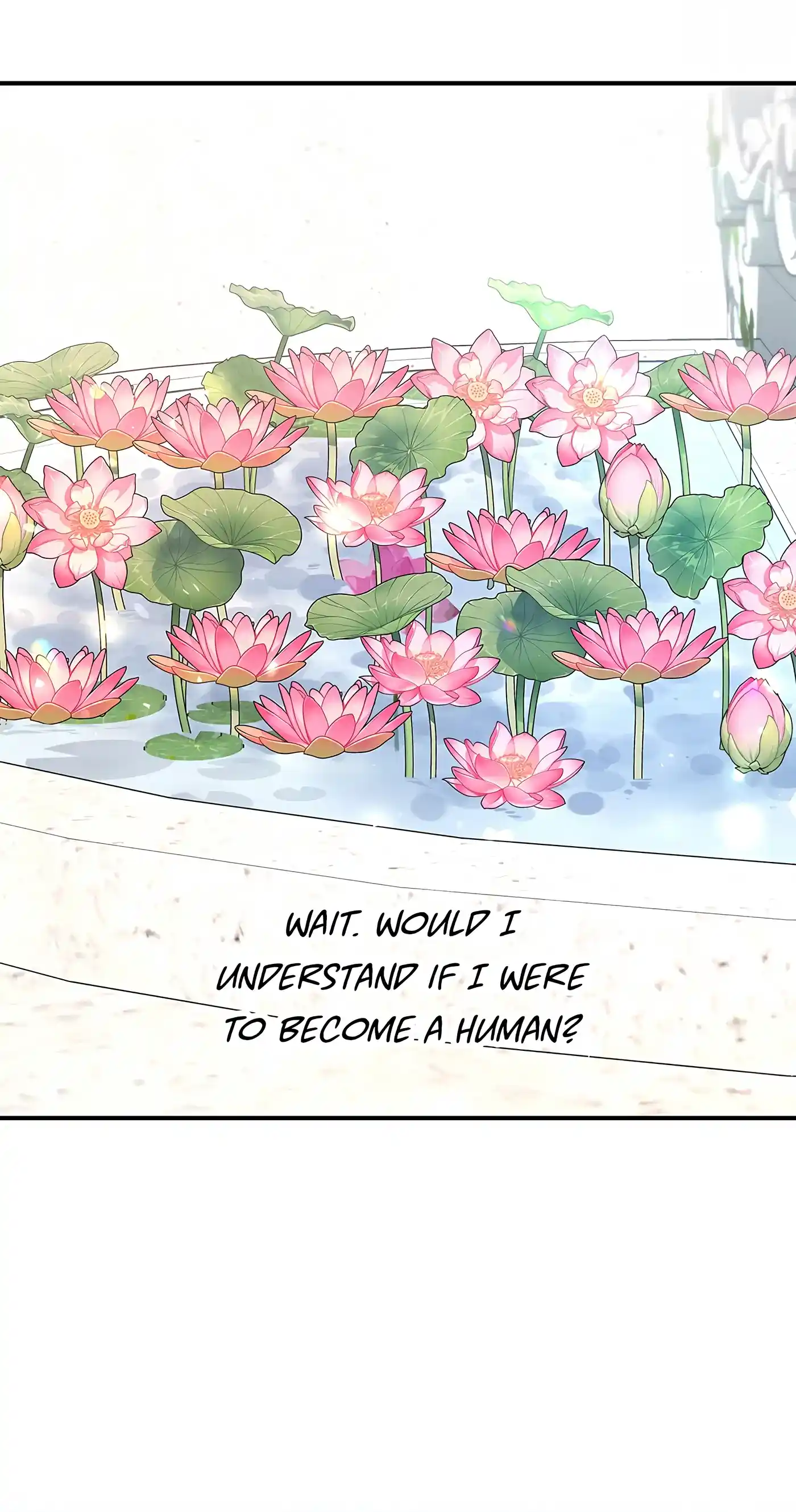 I’m Not A Warrior! Chapter 36