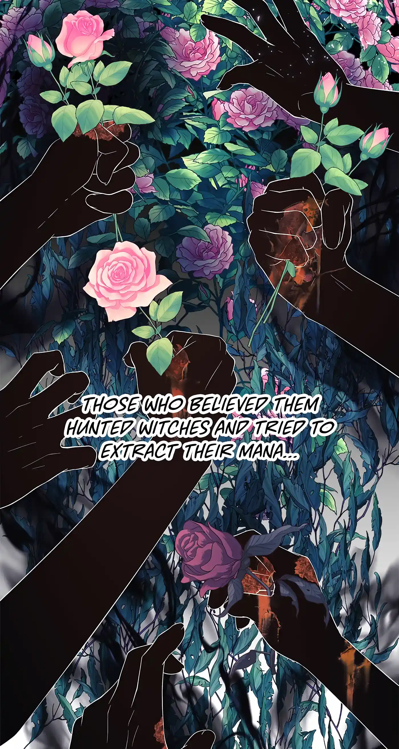 I’m Not a Warrior! Chapter 52