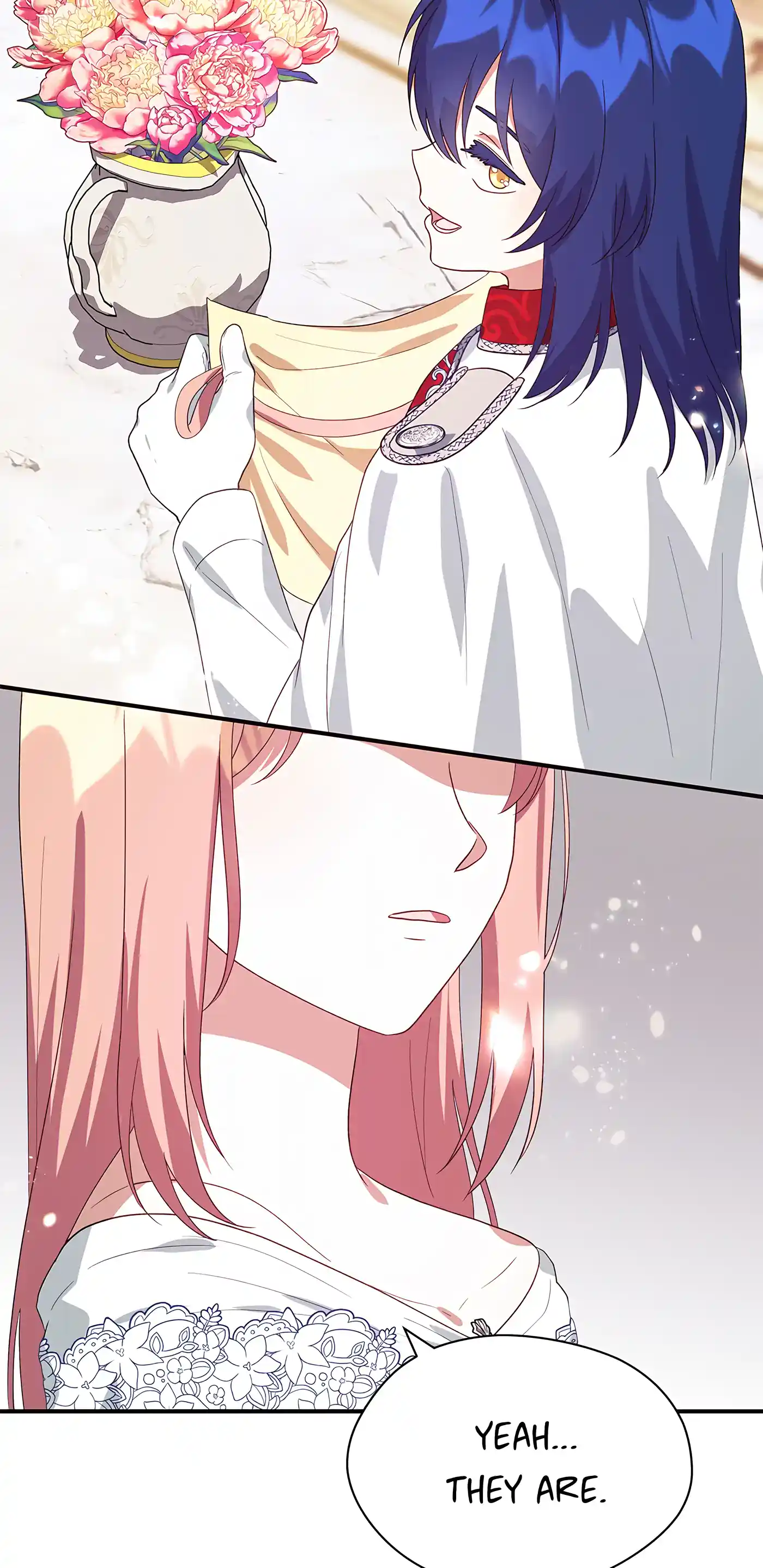 I’m Not a Warrior! Chapter 71