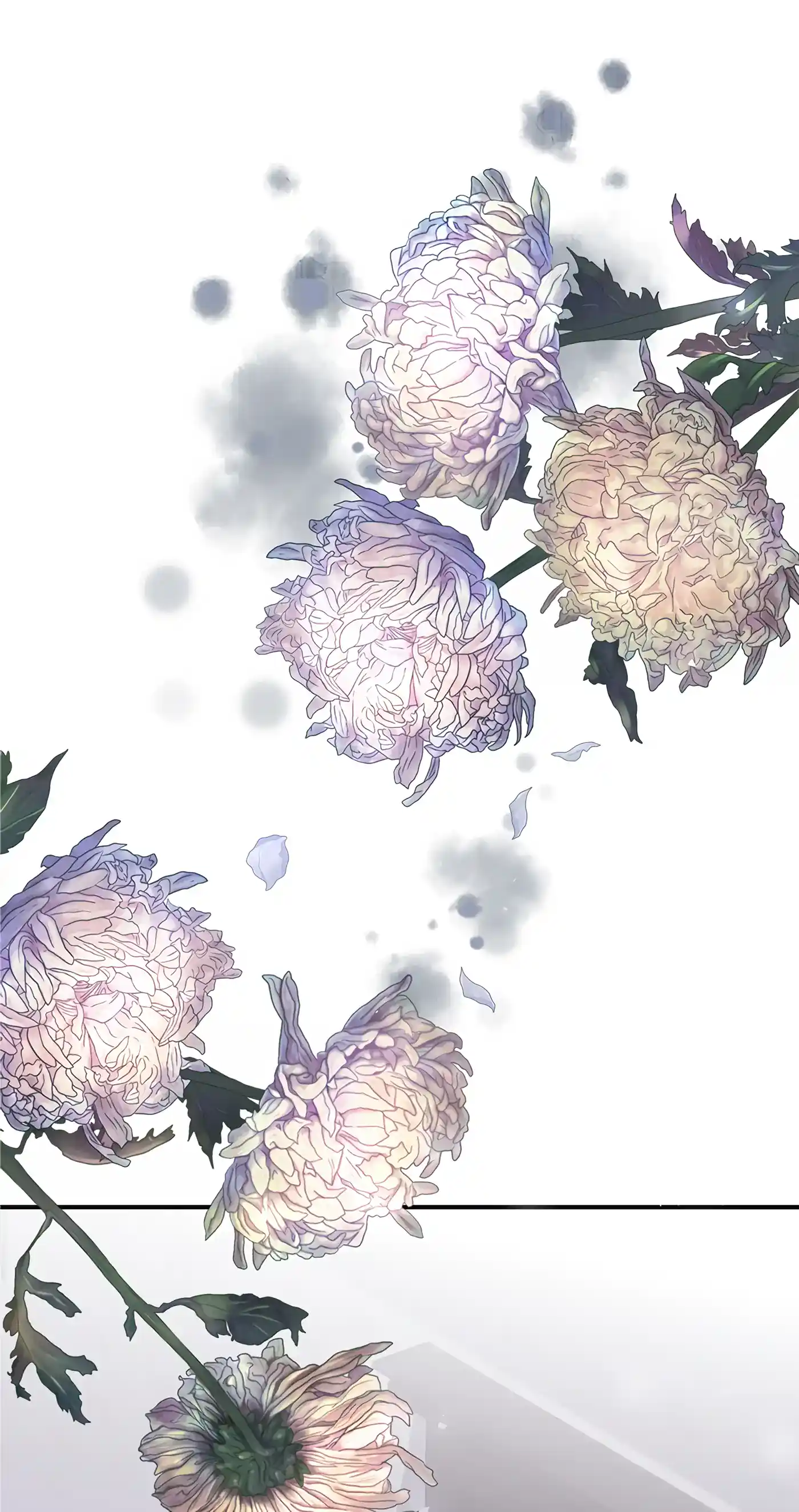 I’m Not a Warrior! Chapter 71