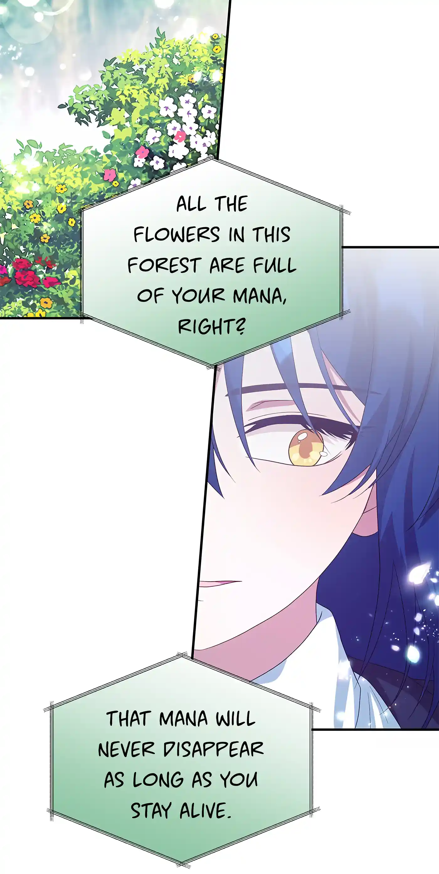 I’m Not a Warrior! Chapter 78