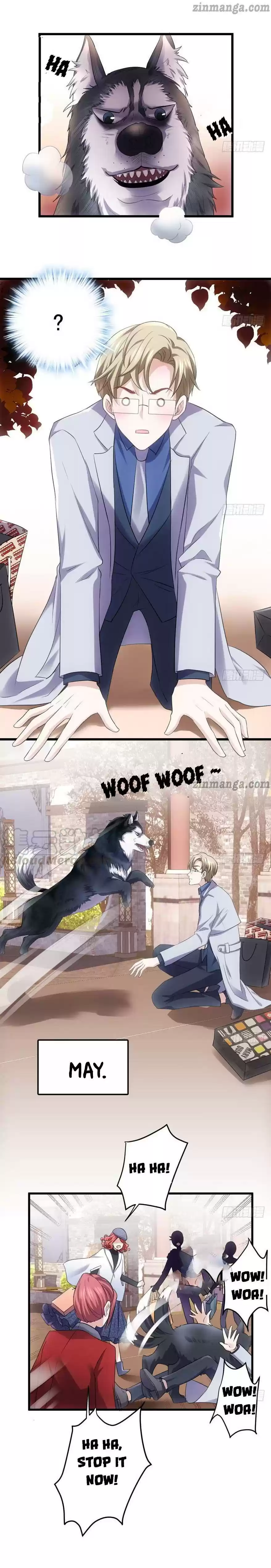 I'm Not An Evil Antagonist Actress Chapter 164