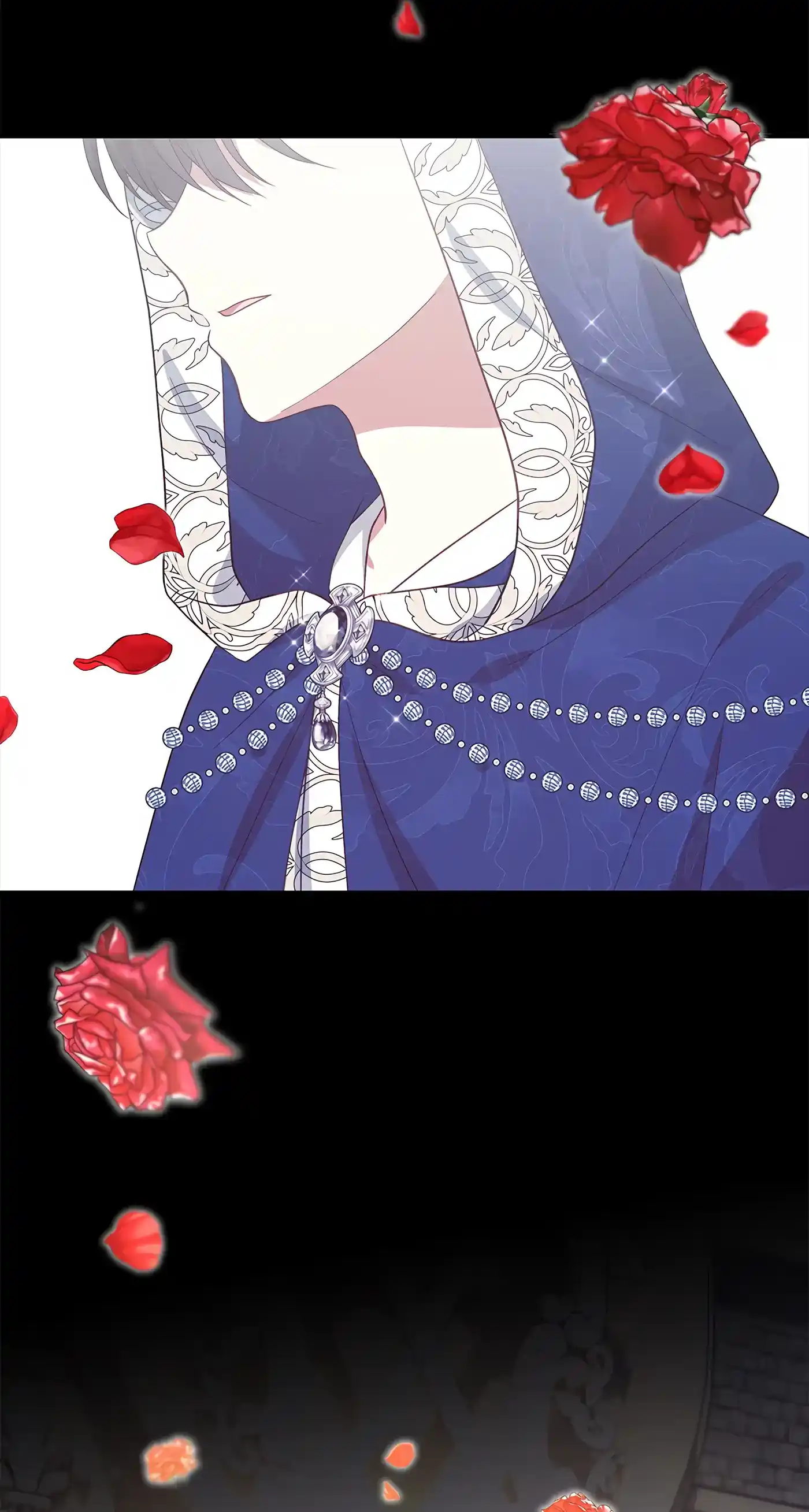 I’M Not The Hero! Chapter 96