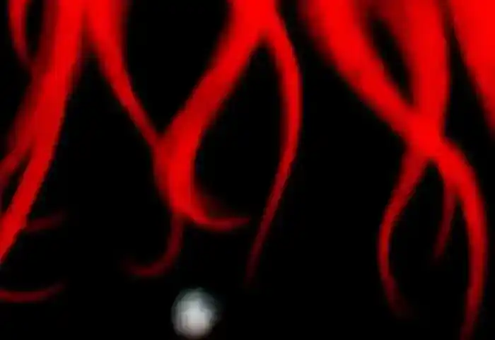 I’m Really Not the Evil God’s Lackey Chapter 152