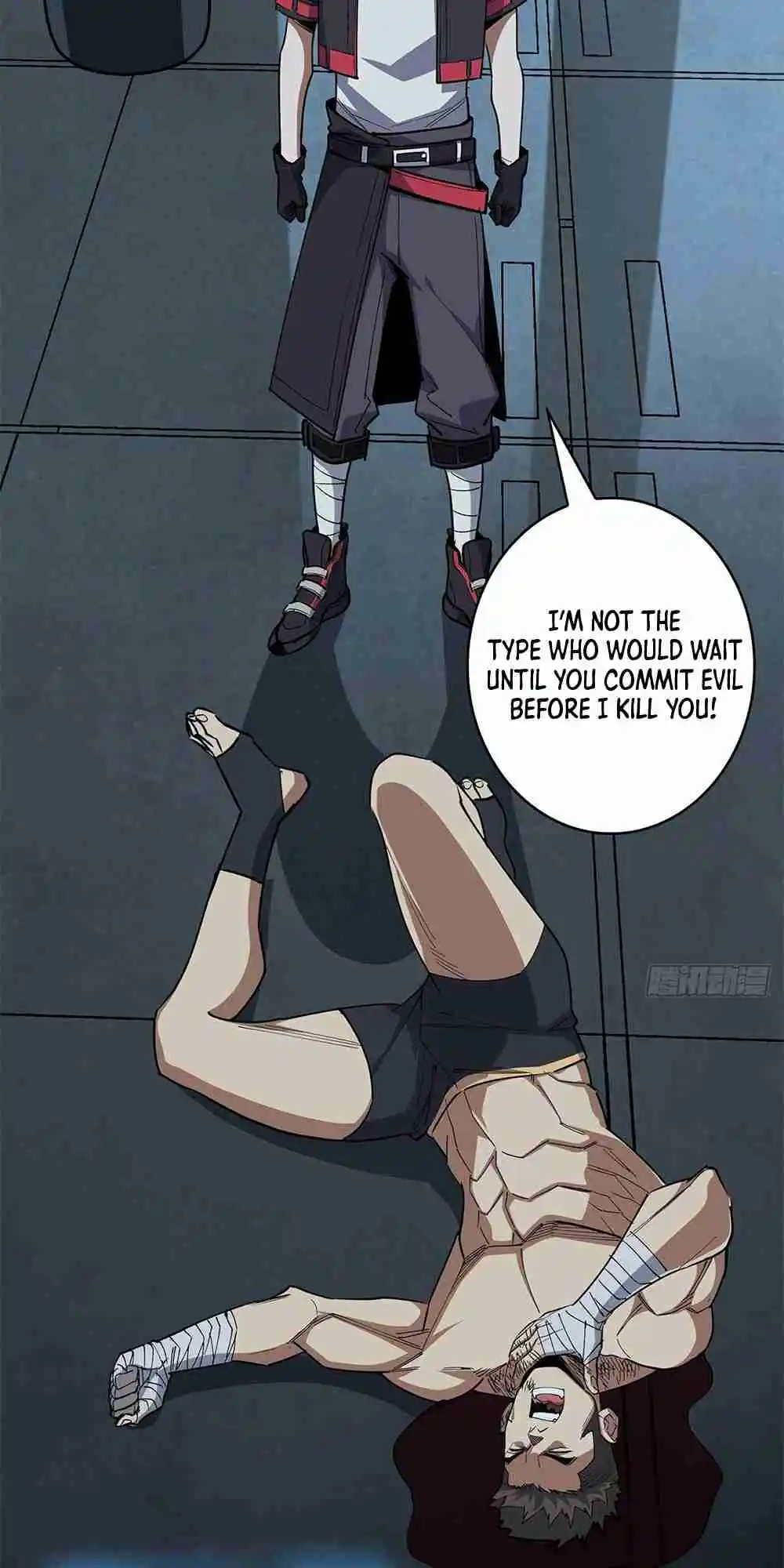 I'm Really Not the Villain 2