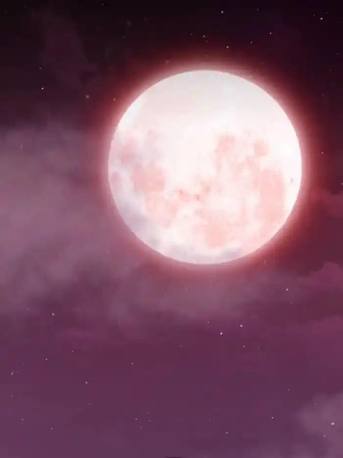 I'm Really Not the Villain Ch.224