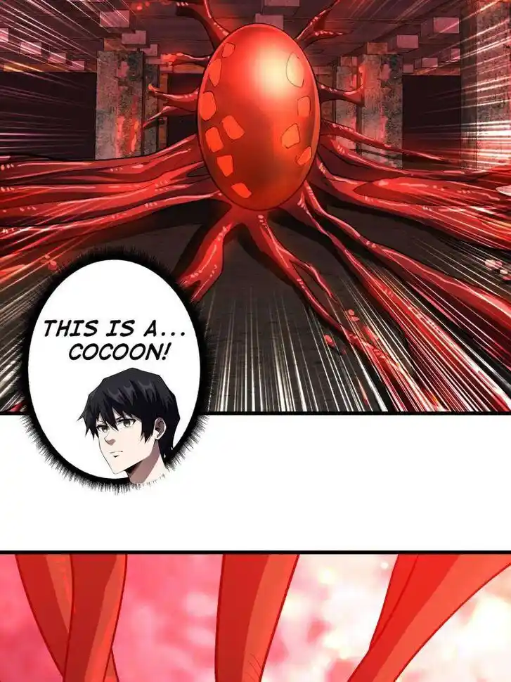 I'm Really Not the Villain Ch.255