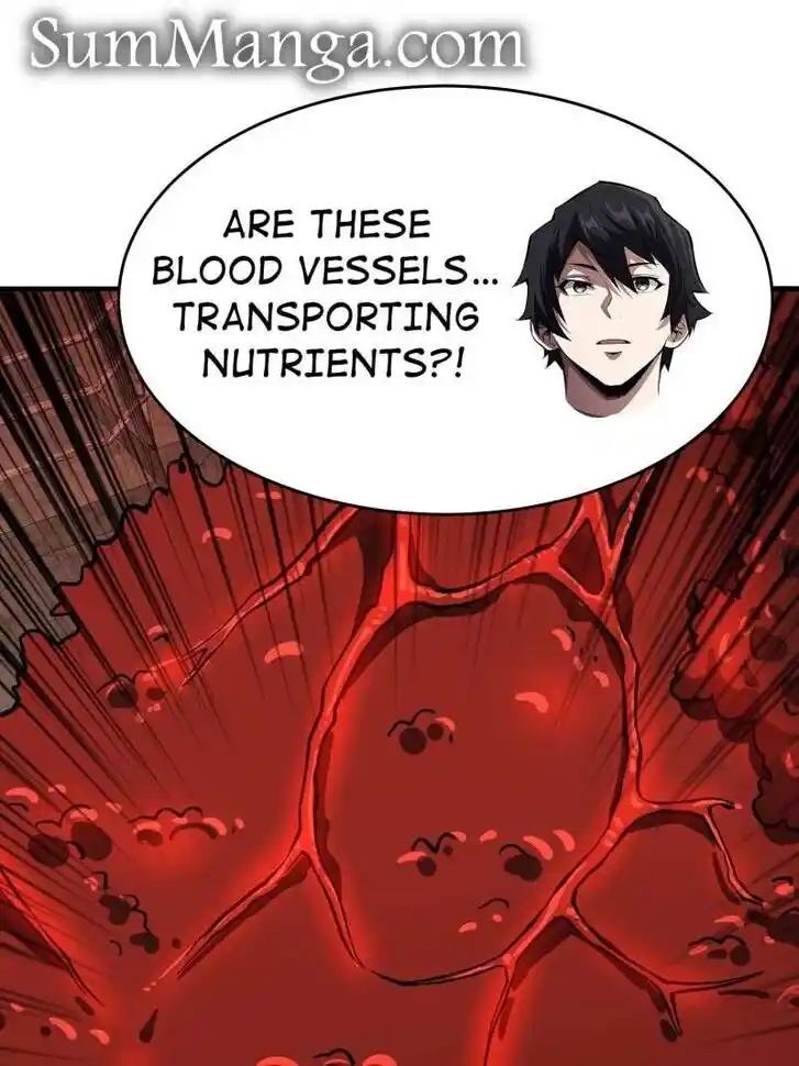 I'm Really Not the Villain Ch.259