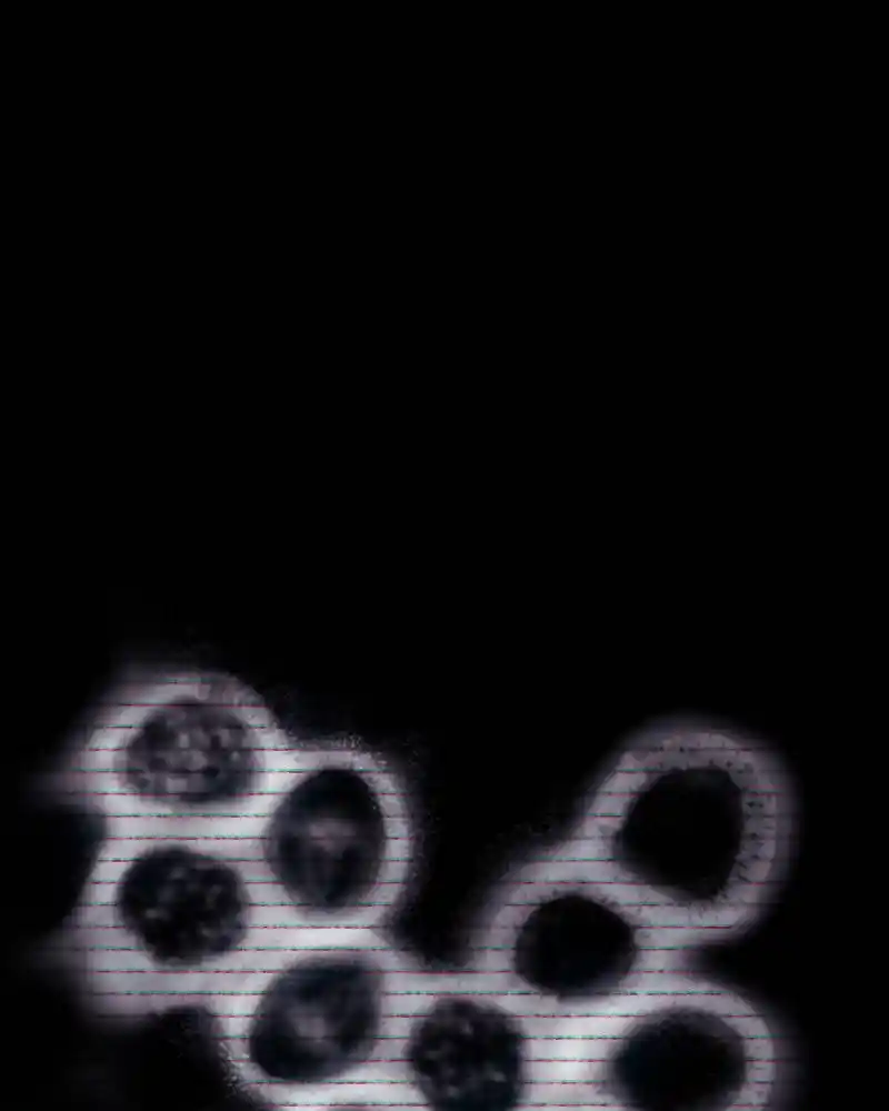 I’M The Grim Reaper Chapter 121